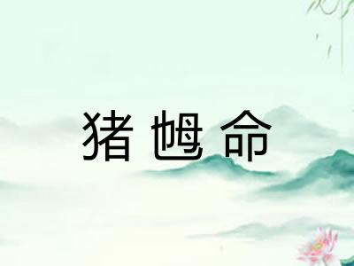 猪乸命