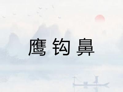 鹰钩鼻
