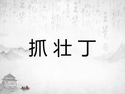 抓壮丁 抓壮丁