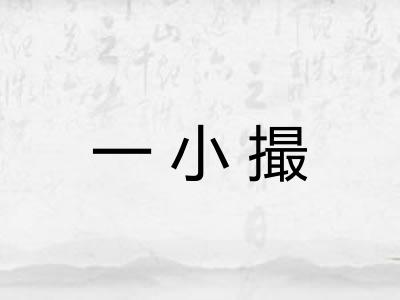 一小撮