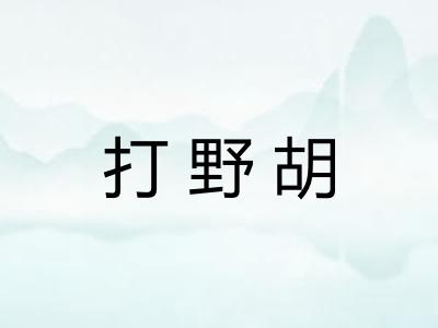 打野胡