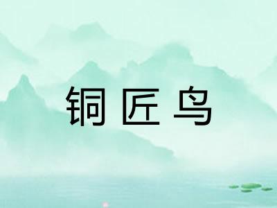 铜匠鸟