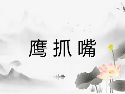 鹰抓嘴