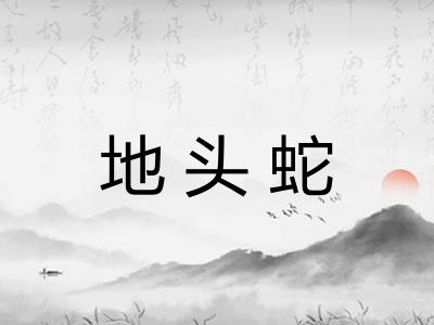 地头蛇