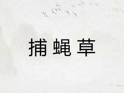 捕蝇草