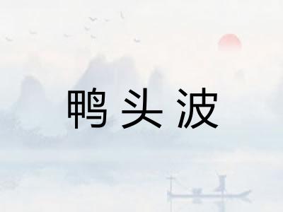 鸭头波