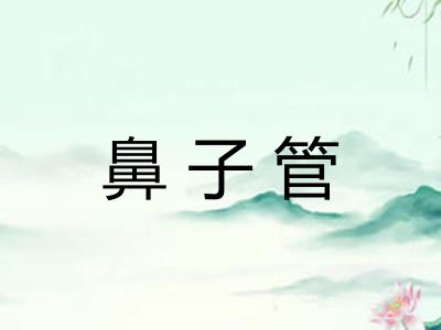 鼻子管 鼻子管