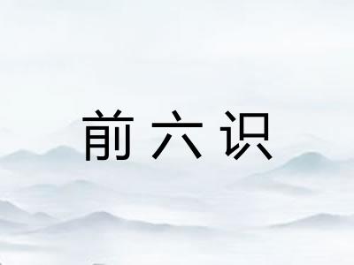 前六识 前六识