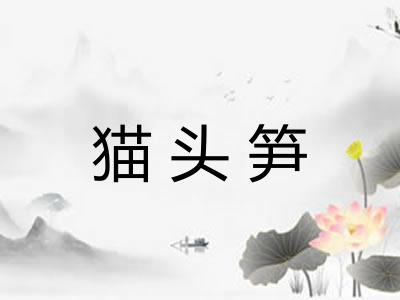 猫头笋