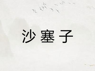 沙塞子 沙塞子