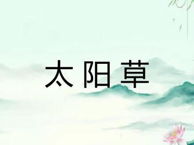 太阳草