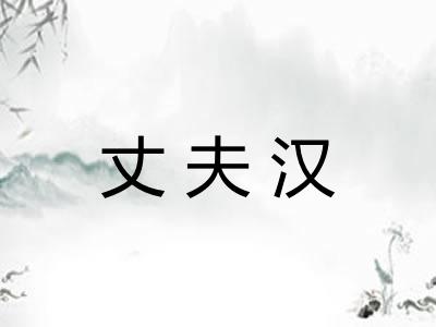 丈夫汉