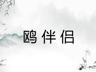 鸥伴侣