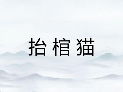 抬棺猫