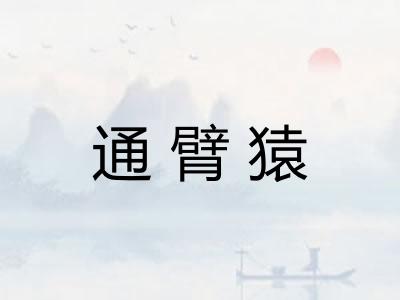 通臂猿