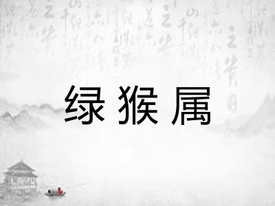 绿猴属