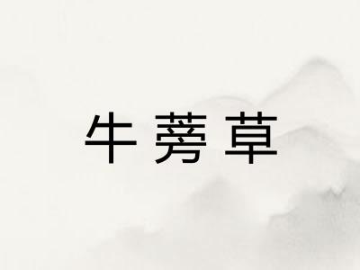 牛蒡草