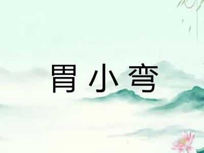 胃小弯