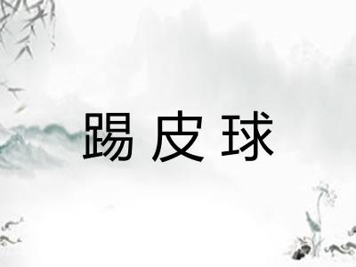 踢皮球