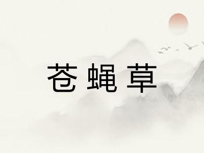 苍蝇草
