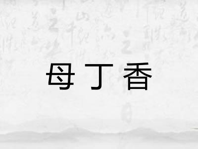 母丁香