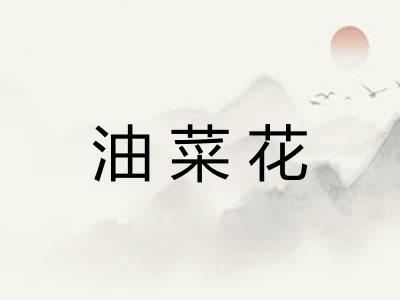 油菜花