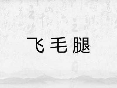 飞毛腿