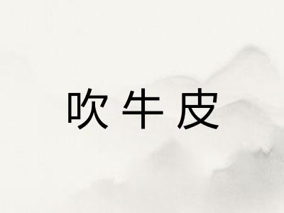 吹牛皮