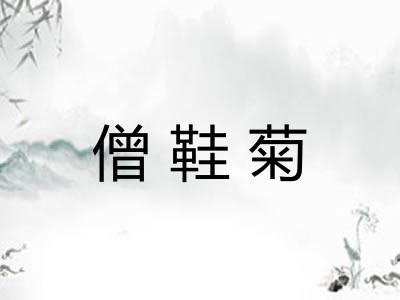 僧鞋菊