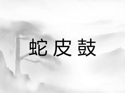 蛇皮鼓