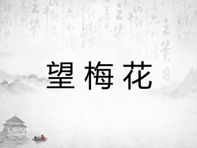 望梅花
