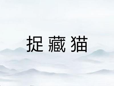 捉藏猫