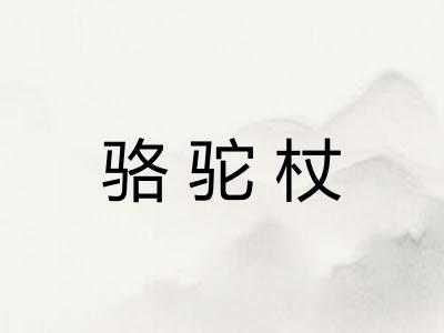 骆驼杖