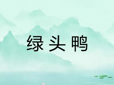绿头鸭