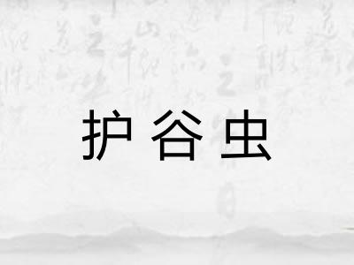 护谷虫