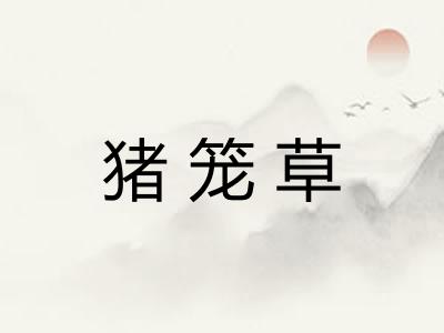 猪笼草