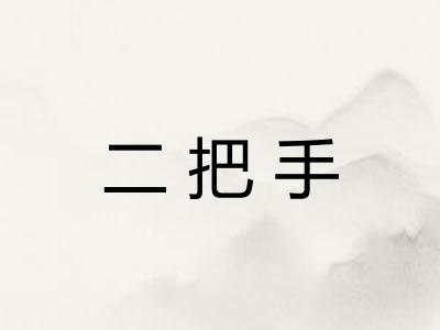 二把手