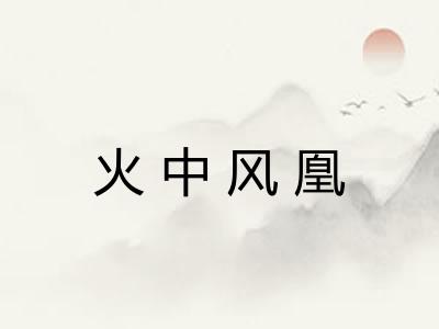 火中风凰