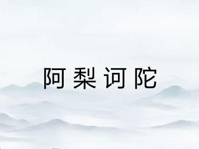 阿梨诃陀