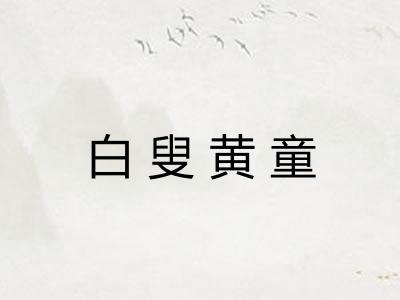 白叟黄童