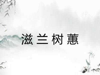 滋兰树蕙