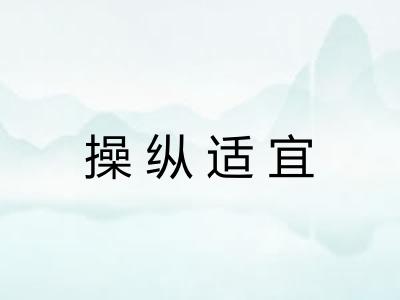 操纵适宜
