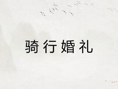 骑行婚礼