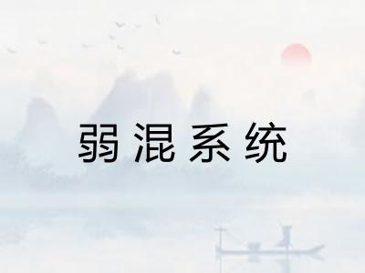 弱混系统