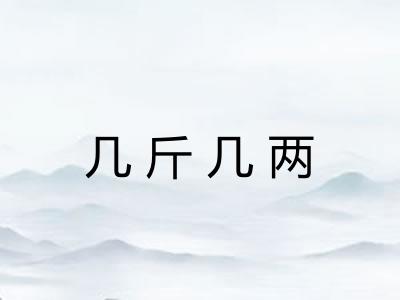 几斤几两