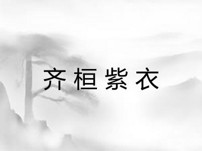 齐桓紫衣