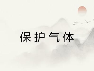 保护气体