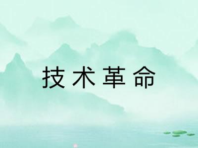 技术革命