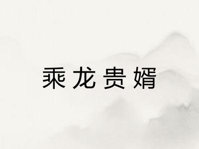 乘龙贵婿