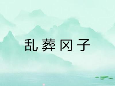 乱葬冈子